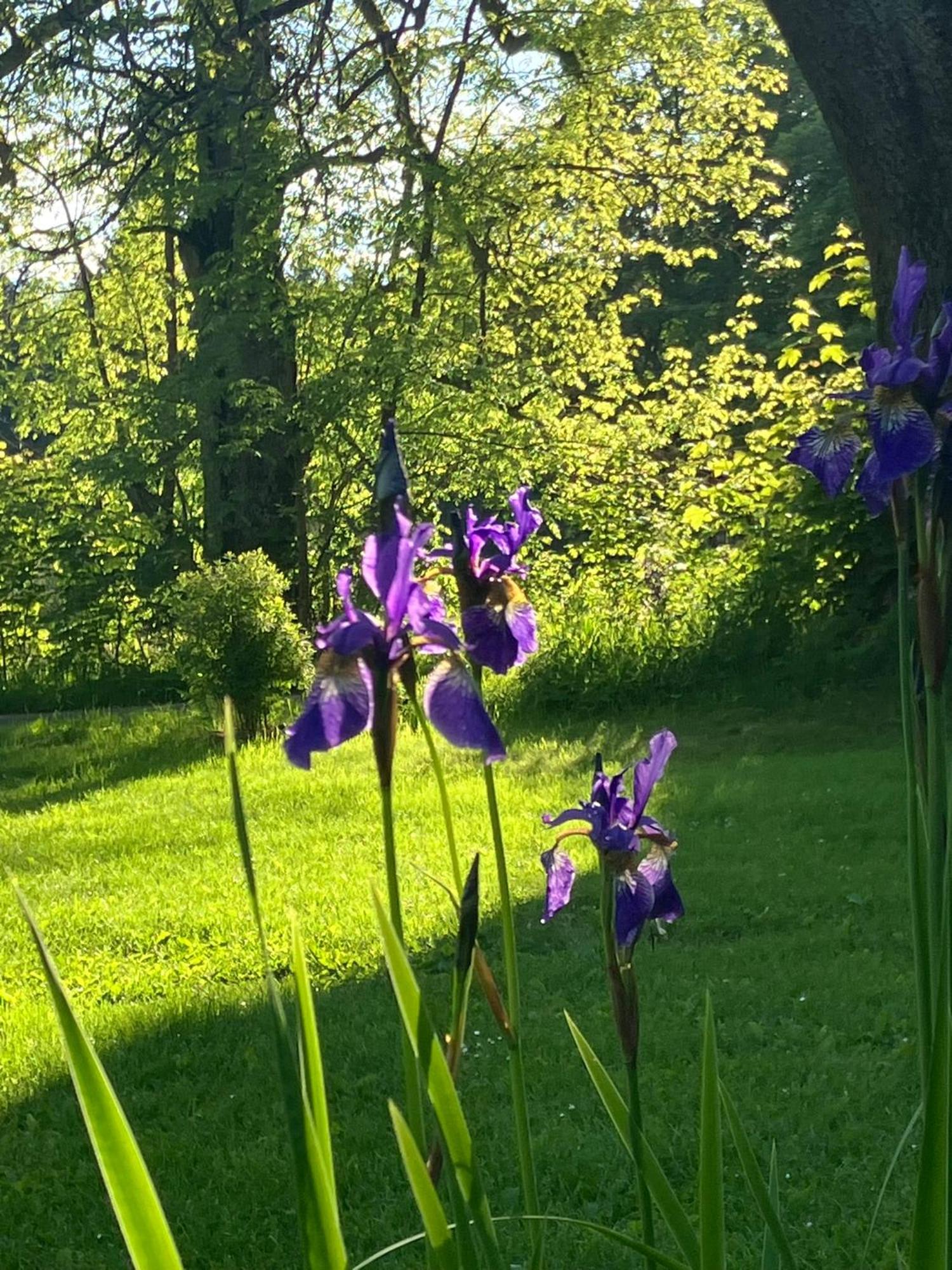 Chalupa Ostruvek Tachov  Buitenkant foto