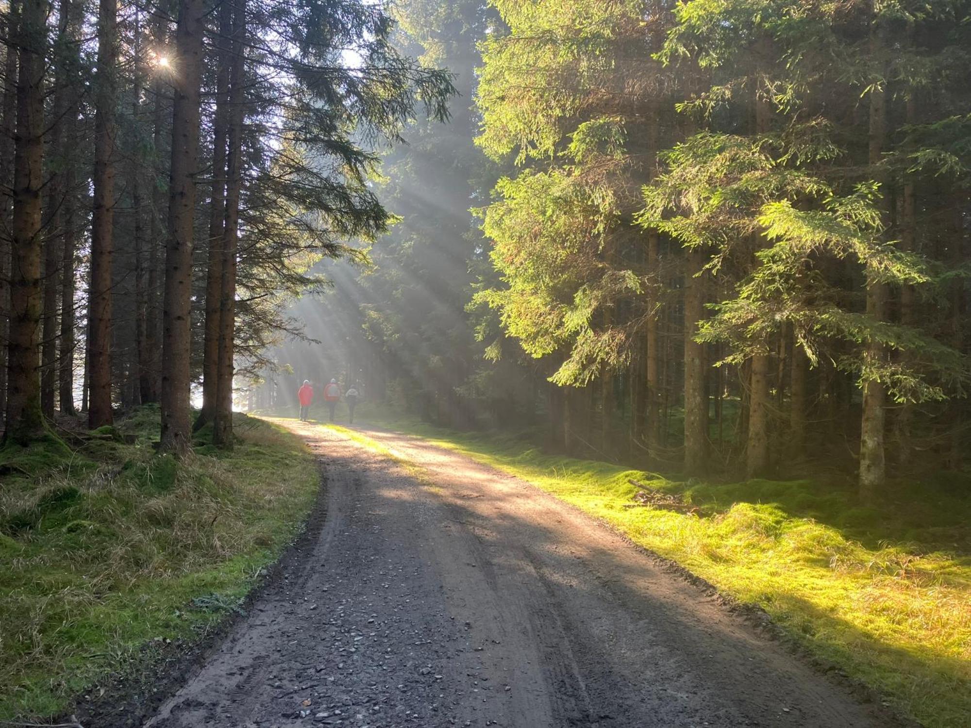 Chalupa Ostruvek Tachov  Buitenkant foto