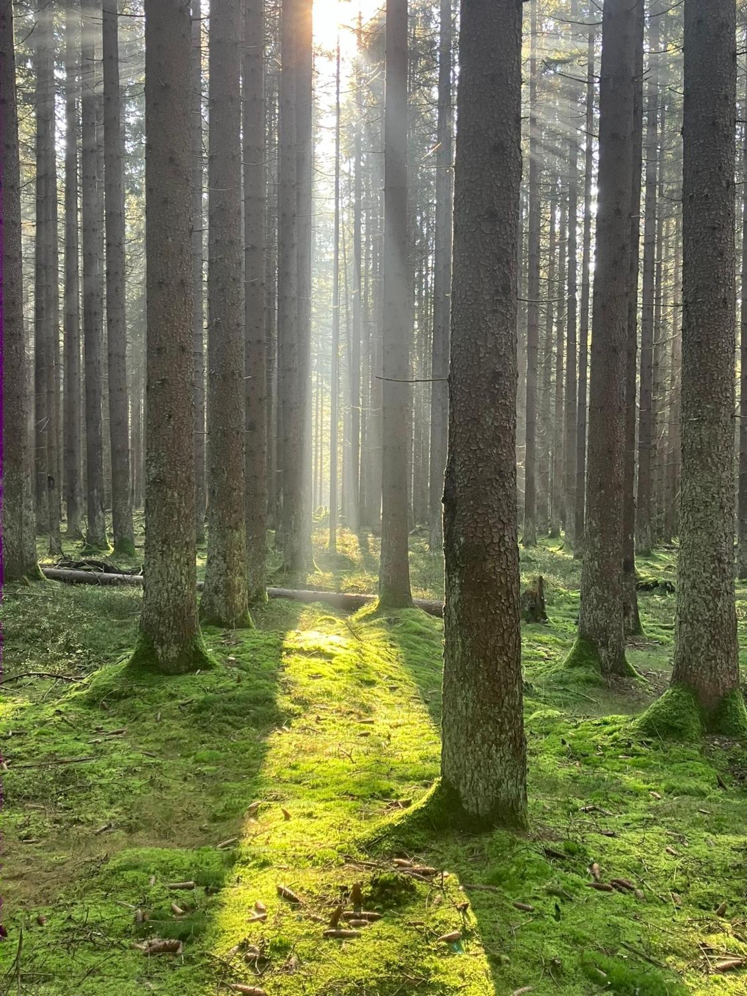 Chalupa Ostruvek Tachov  Buitenkant foto
