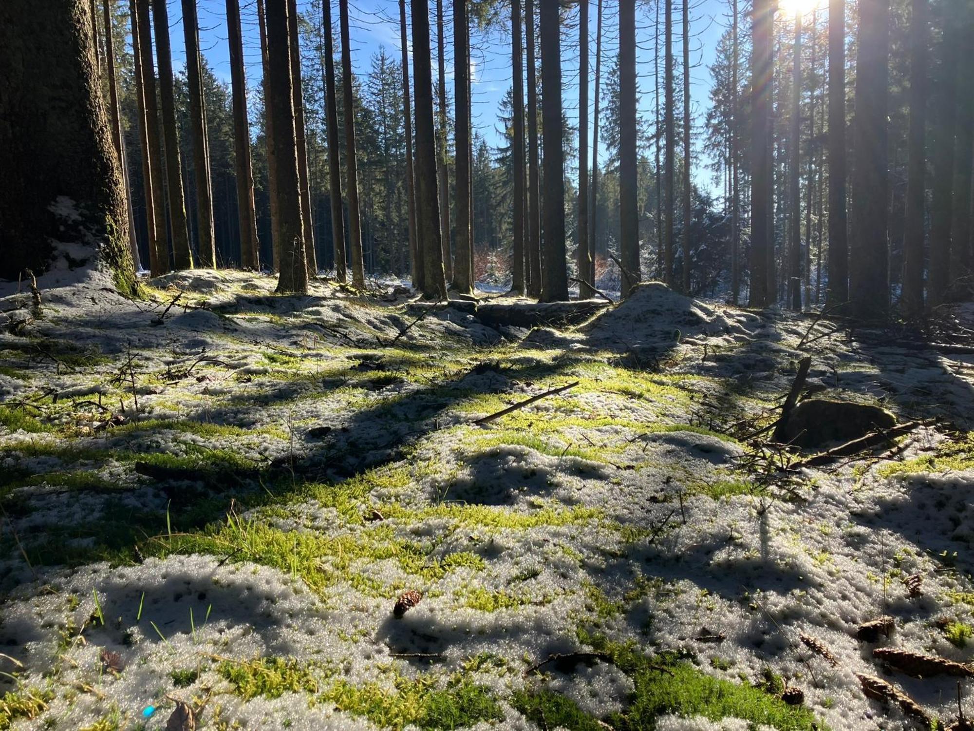 Chalupa Ostruvek Tachov  Buitenkant foto